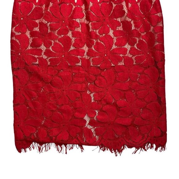 NWT Stylestalker Cassia Lace Strapless Dress Wild Fig Small - Picture 10 of 13